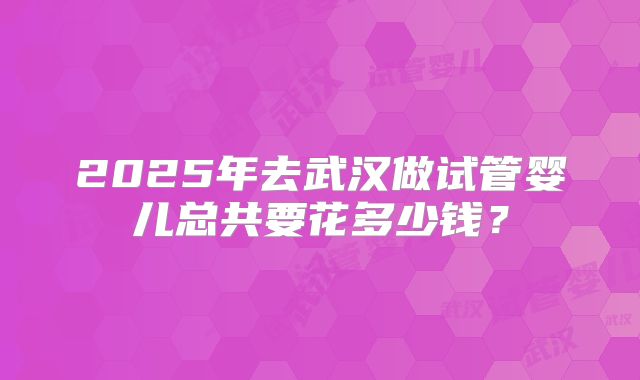 2025年去武汉做试管婴儿总共要花多少钱？