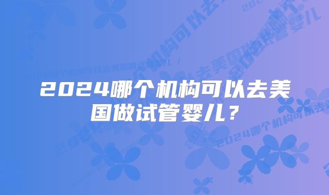 2024哪个机构可以去美国做试管婴儿?