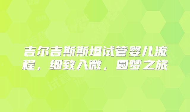吉尔吉斯斯坦试管婴儿流程，细致入微，圆梦之旅