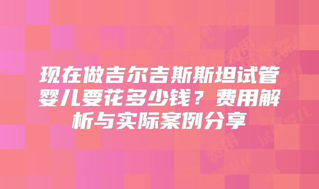 现在做吉尔吉斯斯坦试管婴儿要花多少钱？费用解析与实际案例分享