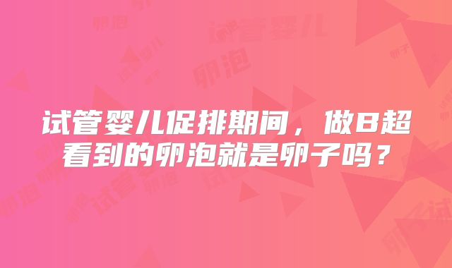 试管婴儿促排期间，做B超看到的卵泡就是卵子吗？