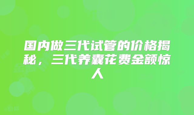 国内做三代试管的价格揭秘,三代养囊花费金额惊人