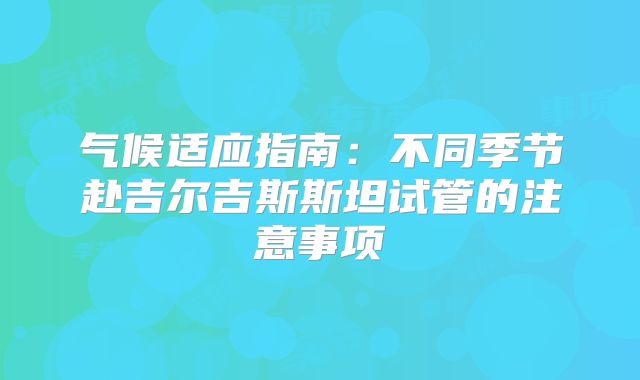 气候适应指南：不同季节赴吉尔吉斯斯坦试管的注意事项