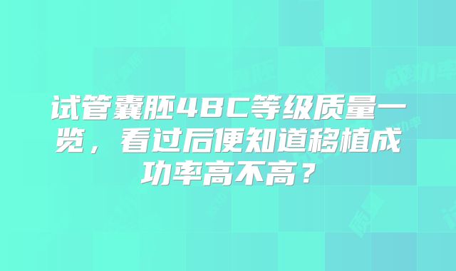 试管囊胚4BC等级质量一览，看过后便知道移植成功率高不高？