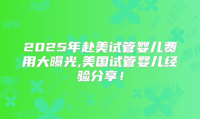 2025年赴美试管婴儿费用大曝光,美国试管婴儿经验分享！