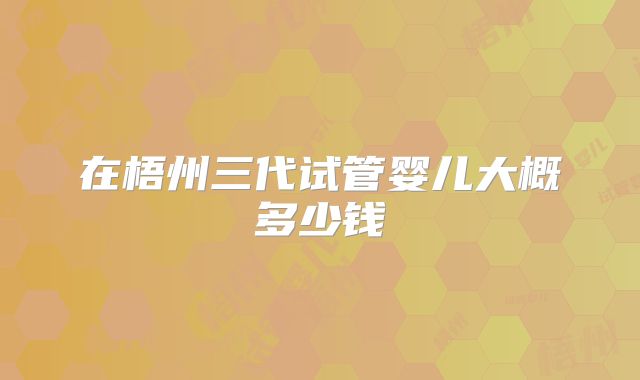 在梧州三代试管婴儿大概多少钱