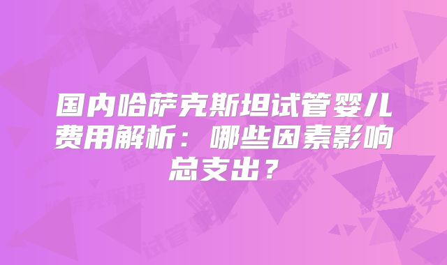 国内哈萨克斯坦试管婴儿费用解析：哪些因素影响总支出？