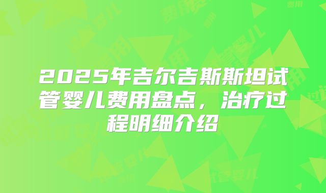 2025年吉尔吉斯斯坦试管婴儿费用盘点，治疗过程明细介绍