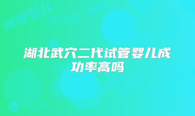 湖北武穴二代试管婴儿成功率高吗