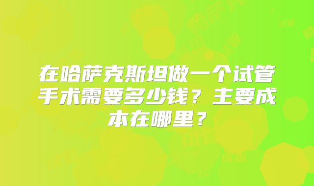 在哈萨克斯坦做一个试管手术需要多少钱？主要成本在哪里？