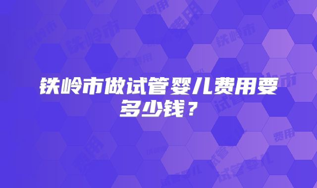 铁岭市做试管婴儿费用要多少钱？