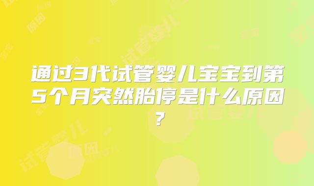 通过3代试管婴儿宝宝到第5个月突然胎停是什么原因？