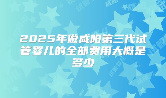 2025年做咸阳第三代试管婴儿的全部费用大概是多少