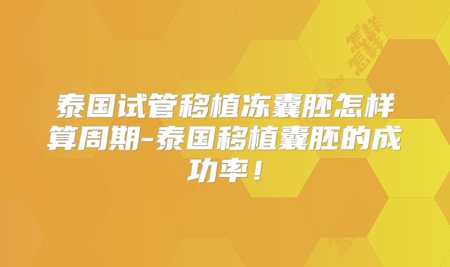 泰国试管移植冻囊胚怎样算周期-泰国移植囊胚的成功率！