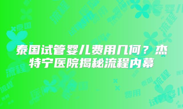 泰国试管婴儿费用几何？杰特宁医院揭秘流程内幕