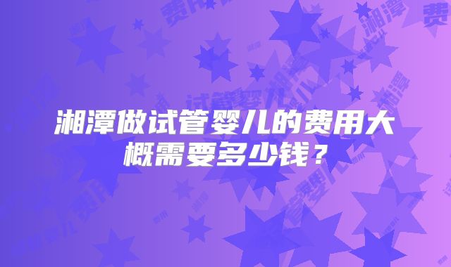 湘潭做试管婴儿的费用大概需要多少钱？