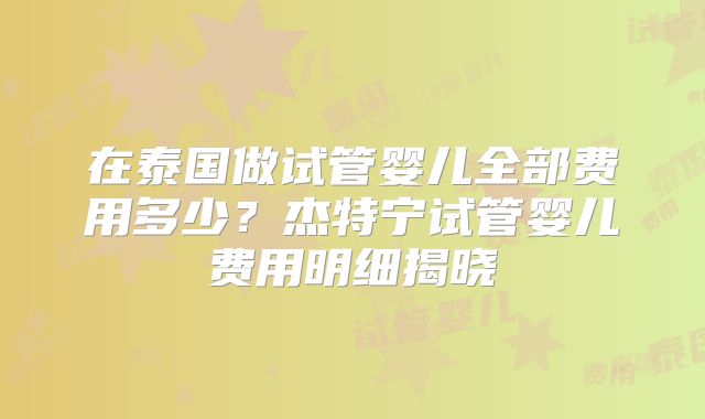 在泰国做试管婴儿全部费用多少？杰特宁试管婴儿费用明细揭晓