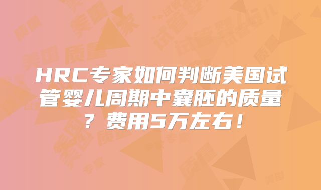 HRC专家如何判断美国试管婴儿周期中囊胚的质量？费用5万左右！