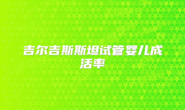 吉尔吉斯斯坦试管婴儿成活率