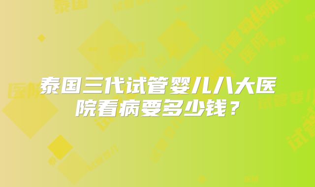 泰国三代试管婴儿八大医院看病要多少钱？