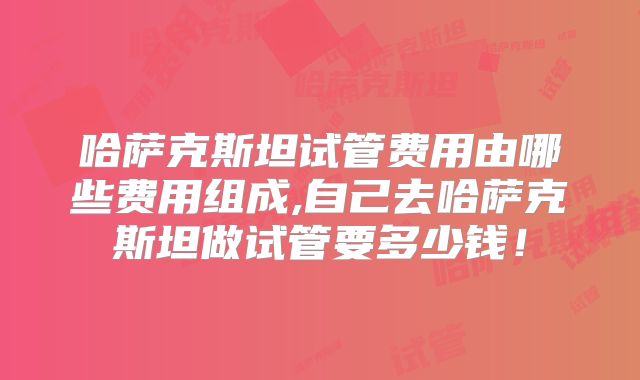 哈萨克斯坦试管费用由哪些费用组成,自己去哈萨克斯坦做试管要多少钱！