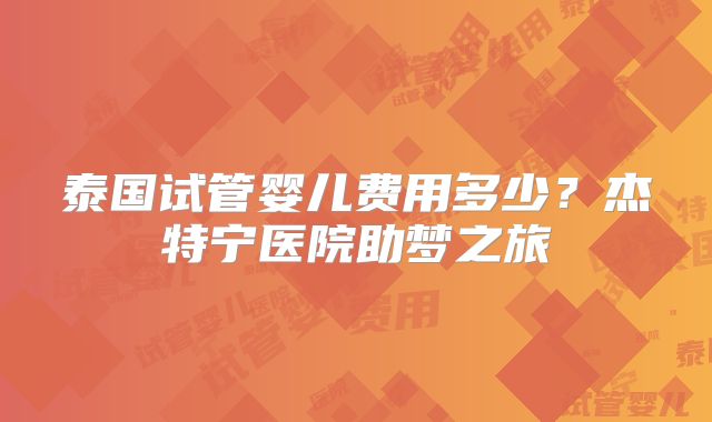 泰国试管婴儿费用多少？杰特宁医院助梦之旅