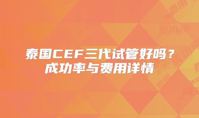 泰国CEF三代试管好吗？成功率与费用详情
