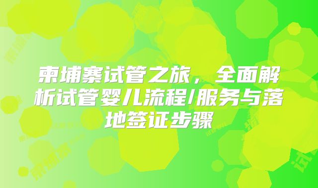 柬埔寨试管之旅，全面解析试管婴儿流程/服务与落地签证步骤