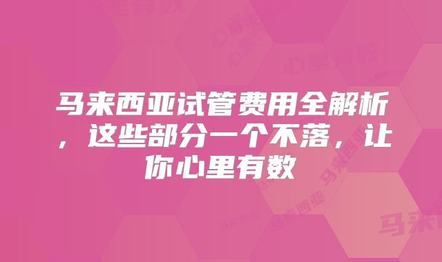 马来西亚试管费用全解析，这些部分一个不落，让你心里有数
