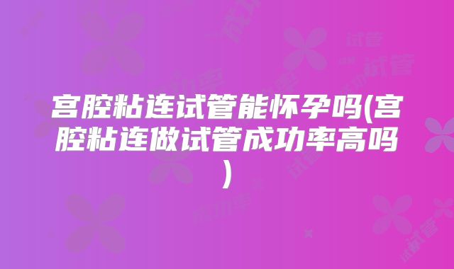 宫腔粘连试管能怀孕吗(宫腔粘连做试管成功率高吗)