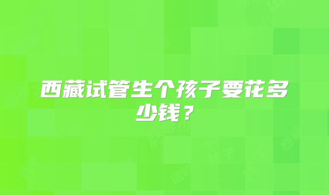西藏试管生个孩子要花多少钱？