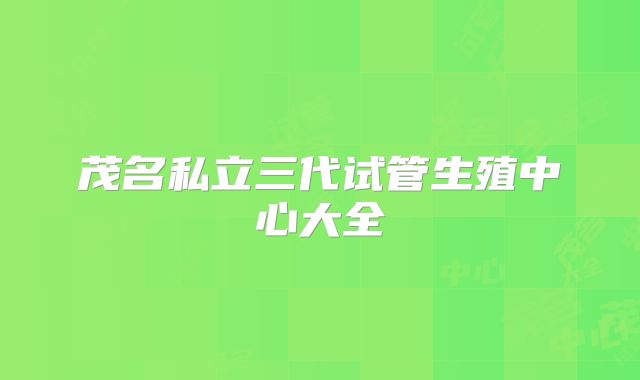 茂名私立三代试管生殖中心大全