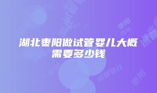 湖北枣阳做试管婴儿大概需要多少钱