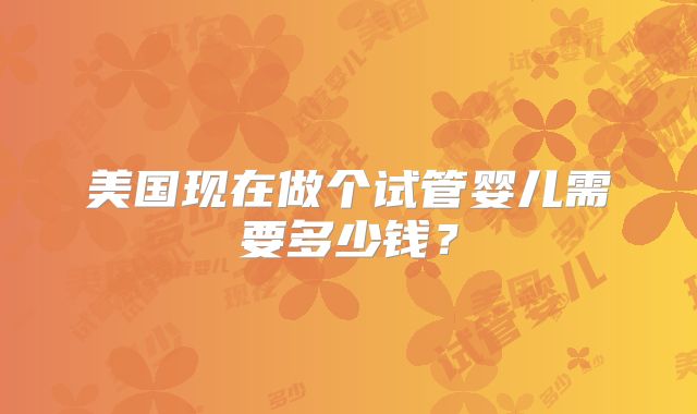 美国现在做个试管婴儿需要多少钱？