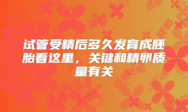 试管受精后多久发育成胚胎看这里，关键和精卵质量有关