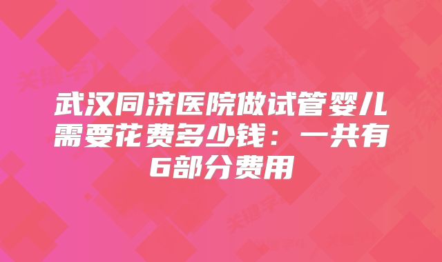 武汉同济医院做试管婴儿需要花费多少钱：一共有6部分费用