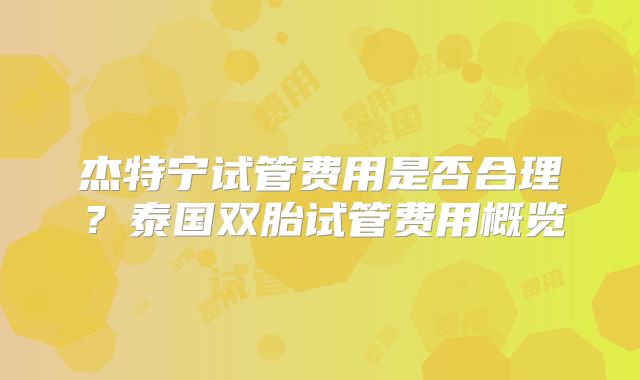 杰特宁试管费用是否合理？泰国双胎试管费用概览