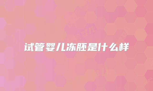 试管婴儿冻胚是什么样