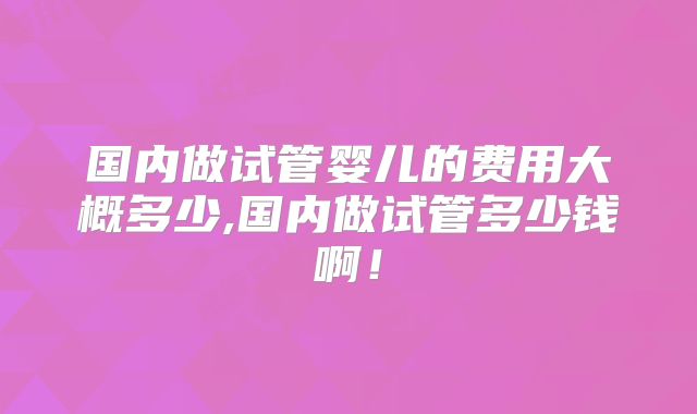 国内做试管婴儿的费用大概多少,国内做试管多少钱啊!