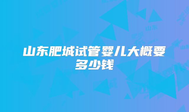山东肥城试管婴儿大概要多少钱