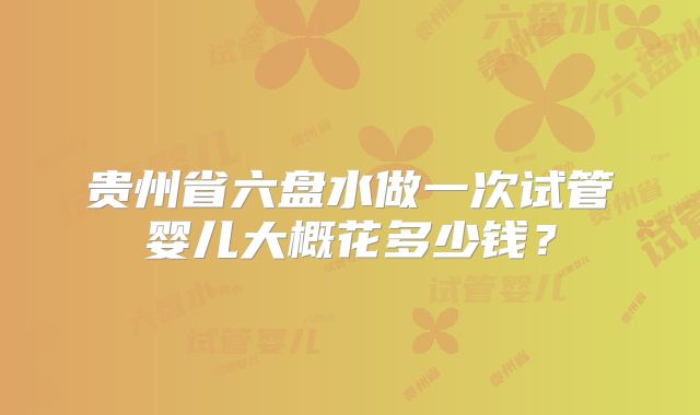 贵州省六盘水做一次试管婴儿大概花多少钱？