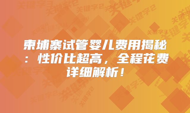 柬埔寨试管婴儿费用揭秘：性价比超高，全程花费详细解析！