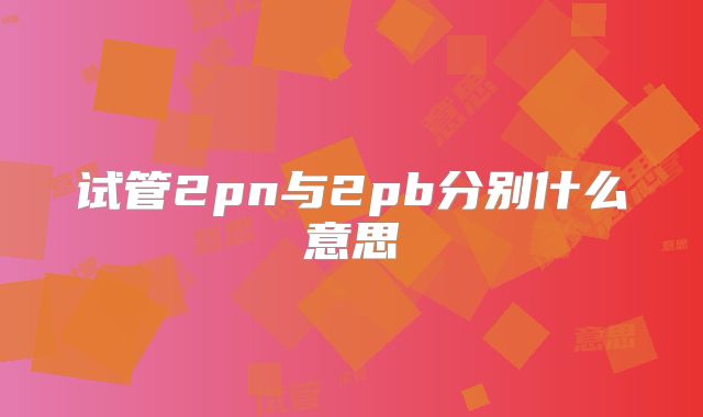 试管2pn与2pb分别什么意思