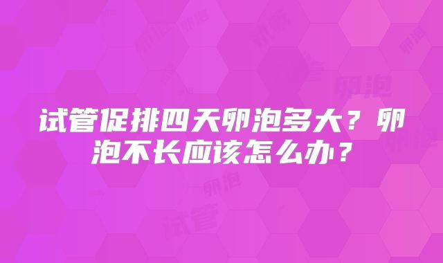 试管促排四天卵泡多大？卵泡不长应该怎么办？
