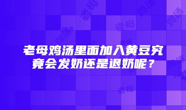 老母鸡汤里面加入黄豆究竟会发奶还是退奶呢?