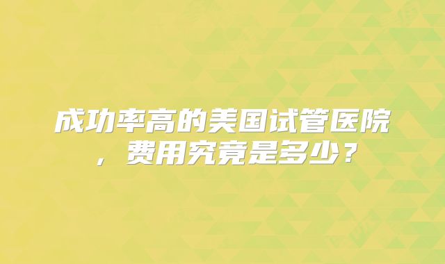 成功率高的美国试管医院，费用究竟是多少？