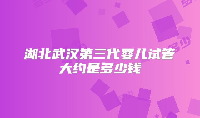 湖北武汉第三代婴儿试管大约是多少钱