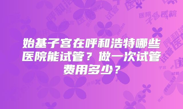 始基子宫在呼和浩特哪些医院能试管？做一次试管费用多少？