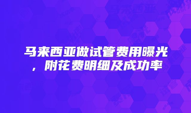 马来西亚做试管费用曝光，附花费明细及成功率