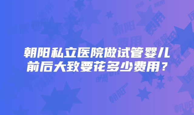 朝阳私立医院做试管婴儿前后大致要花多少费用？